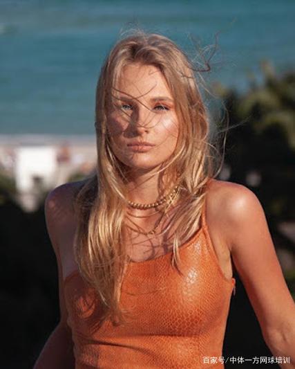 这本画册的 这本画册的